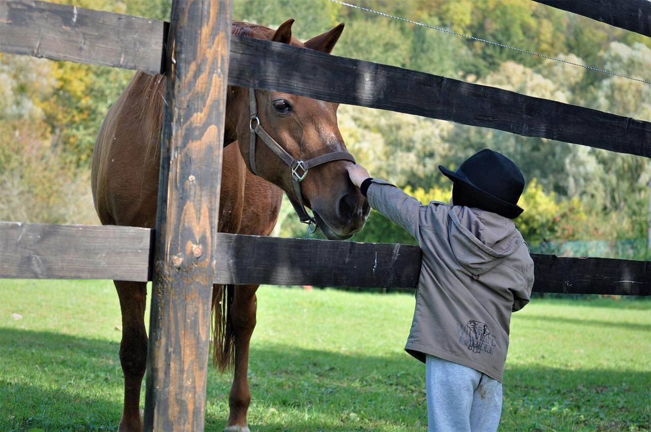 cheval et enfant-pixabay